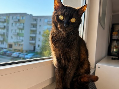 Józia