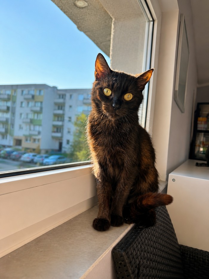 Józia