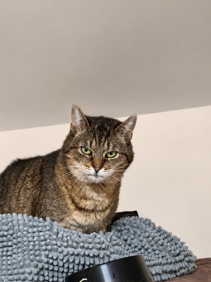 Hera