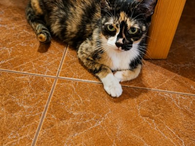 Rozalia