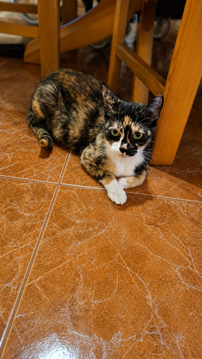 Rozalia