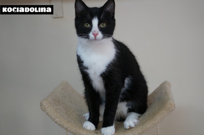 Zonia