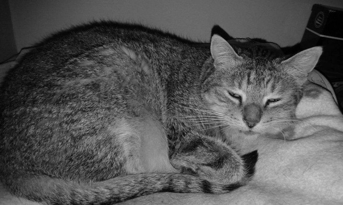Zuza