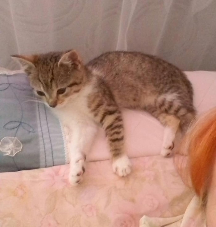 Bianka/Malinka