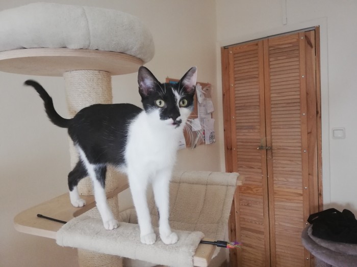 Chloe