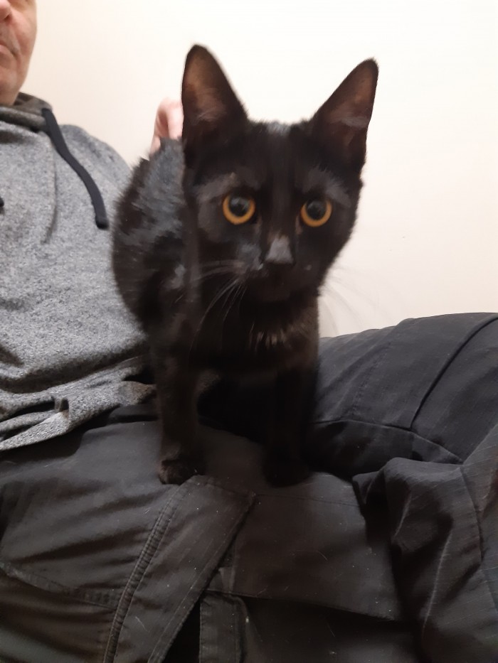 Tula