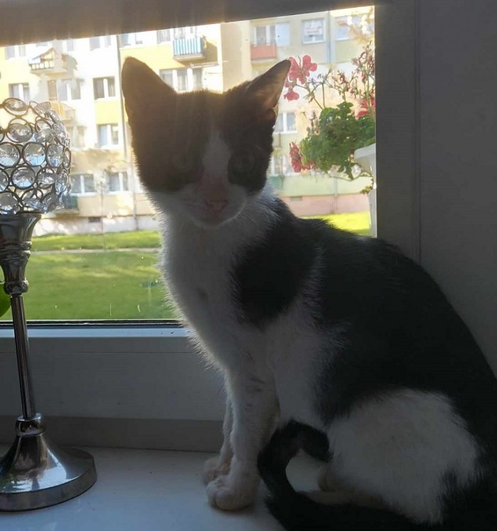 Valentino