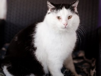 Olaf